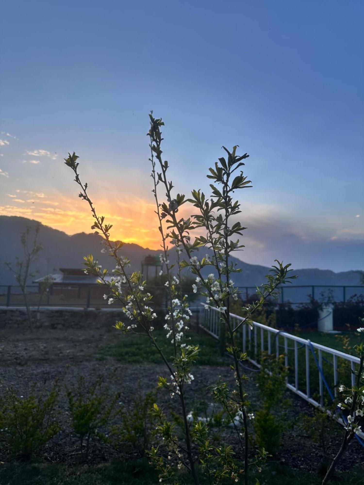 Highfield Villa Kanatal Zewnętrze zdjęcie